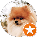 Sj K profile picture