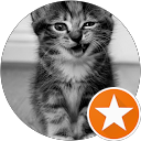 Ines Camerlynck profile picture